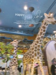 -卡通尼·Safari非洲探索乐园·生日会(金桥国际商业广场店)