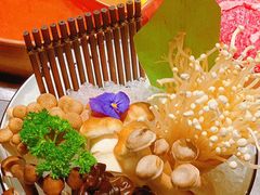 -牛村来人潮汕牛肉火锅(西单店)