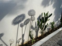 -几静cafe(基湖店)