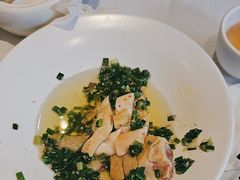 -新雅粤菜馆(南京东路店)