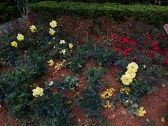 -人民公园(罗湖区)