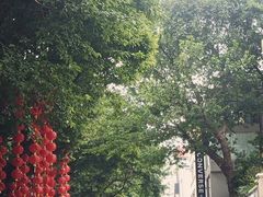 出门转左就是北京路步行街-海底捞火锅(北京路店)