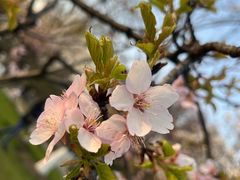 -玄武湖景区-情侣园游乐场