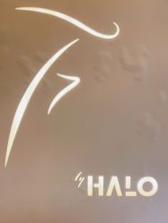 -Halo FLY运动空间