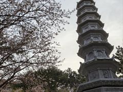 -海东龙宫寺