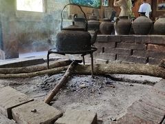 -西双版纳原始森林公园