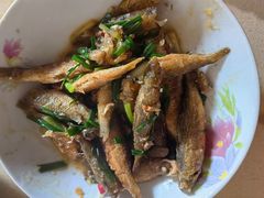 -大班家政月嫂育儿嫂(广州NO.1店)