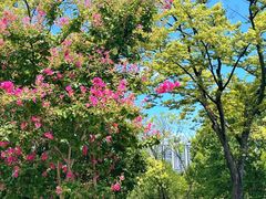 -白塘生态植物园