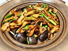 爆炒赤松茸黑牛肝菌-云海肴云南菜·蒸汽石锅鱼(新奥店)