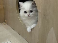 -金光华广场