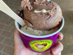 Cinnamon-Dooley's Premium Ice Cream