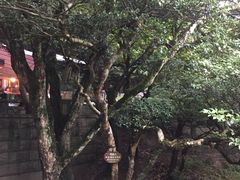 -普陀山风景区-佛顶山