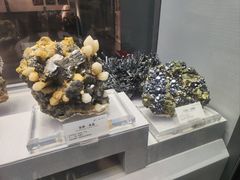 -湖南省地质博物馆