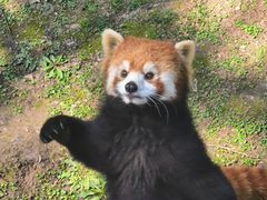 -上海野生动物园