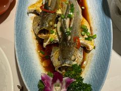 -33号大院·青岛本帮菜(五四广场店)