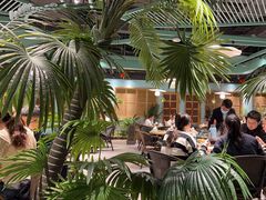 -春润大地海南椰子鸡(沙井京基百纳广场店)
