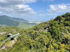 -三亚亚龙湾人间天堂鸟巢度假村