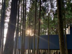 -玉苍山国家森林公园