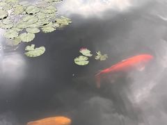 -杭州植物园