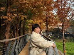 -白水寺森林公园