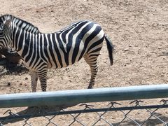 -石家庄市动物园