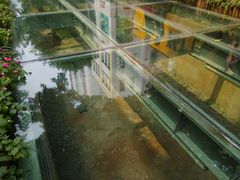 景点-北京路步行街-千年古道遗址