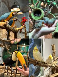 -Zoolung Zoolung动物主题公园(海信广场店)