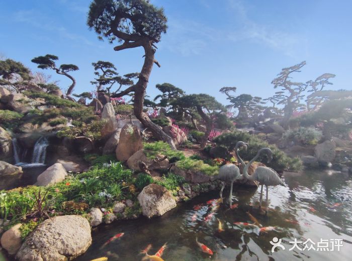 罗红摄影艺术馆图片