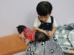 -猪盟咖啡店(玖洲道店)