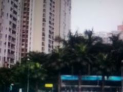 -猎德游泳池(猎德花园店)