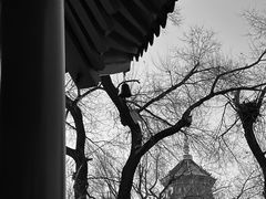 -哈尔滨极乐寺