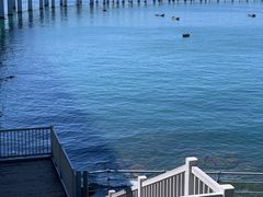 -星海湾跨海大桥