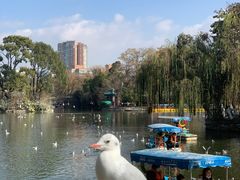 -萨尔瓦多Salvador's