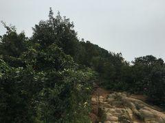 -灵岩山风景区