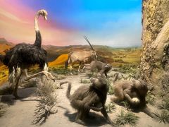 -国家自然博物馆