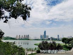 -月湖风景区