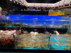 -苏格里岛自助烤肉海鲜火锅(成都金牛万达店)