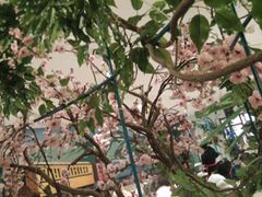 -茉莉餐厅(包河万达店)