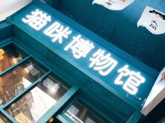 -猫咪博物馆(顶澳仔猫街店)