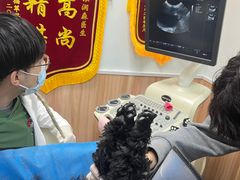-瑞鹏宠物医院·内科·中兽医·骨科(苗圃店)