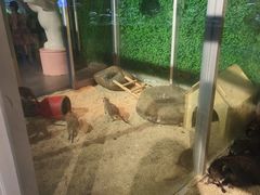 -常州海昌海洋探索馆