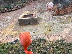 -昆明动物园