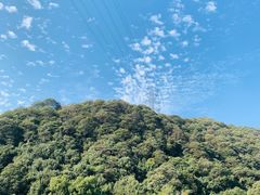 -龙坞茶村