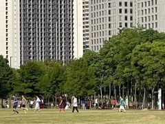 -上海浦东新区民办欣竹中学