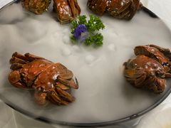 -月湖翠·上海菜(思南公馆淮海店)