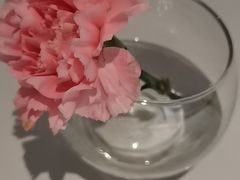 -眉州东坡(望京店)