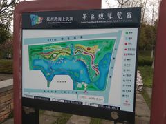-杭州湾海上花田景区