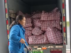 -蚂蚁搬家成都打包搬运公司