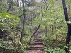 -老象峰