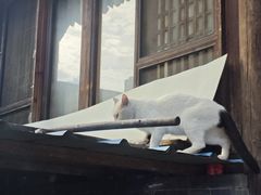 -鸡鸣驿城